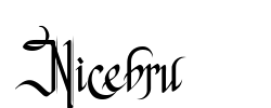 Nicebru - logo